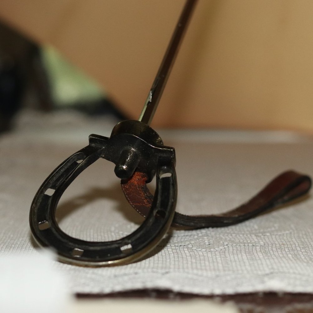 Equine Parasol / Umbrella - Horseshoe Handle and Leather Sleeve - Picture 3 of 8